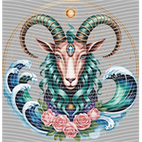 Constellation-XZ 191